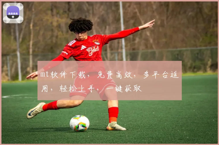 mt软件下载，免费高效，多平台适用，轻松上手，一键获取