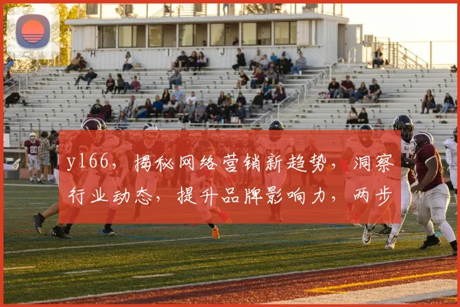 yl66，揭秘网络营销新趋势，洞察行业动态，提升品牌影响力，两步走