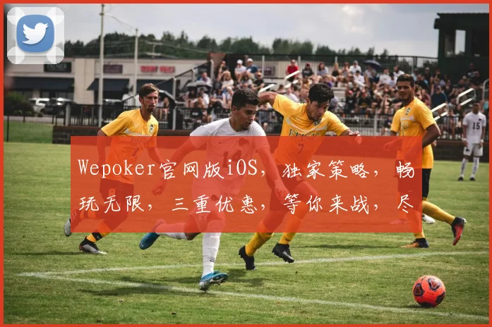 Wepoker官网版iOS，独家策略，畅玩无限，三重优惠，等你来战，尽享指尖刺激