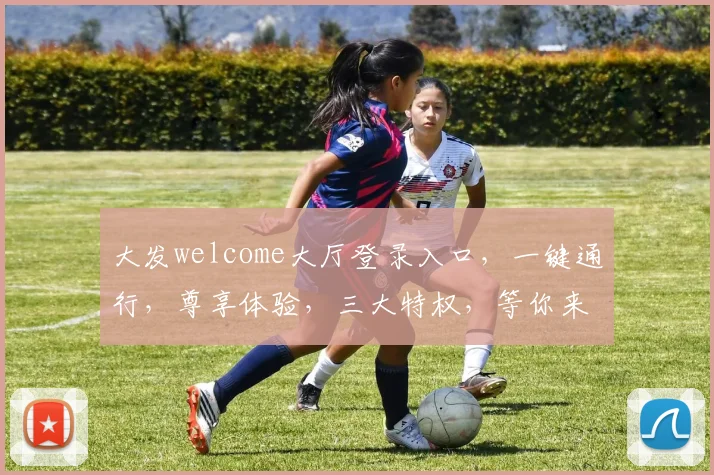 大发welcome大厅登录入口，一键通行，尊享体验，三大特权，等你来战
